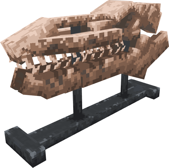 Mosasur Skull