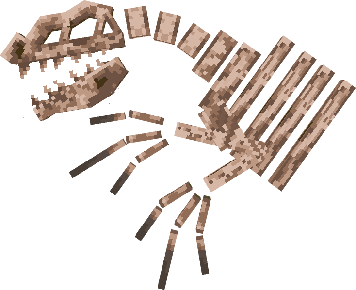 Raptor Fossil