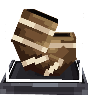 Nautilus Display