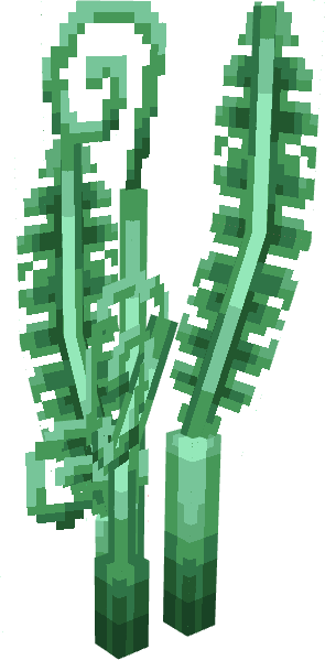Spiral Fern
