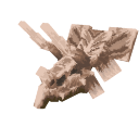 Triceratops Skull