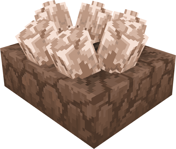Dino Nest
