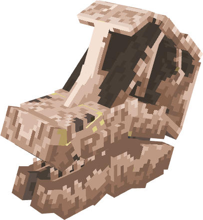Brachio Skull