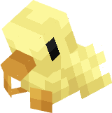 Yellow Chick