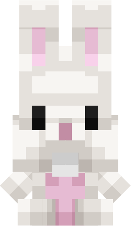 White Bunny Pet