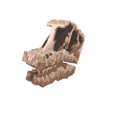Brachiosaurus Skull